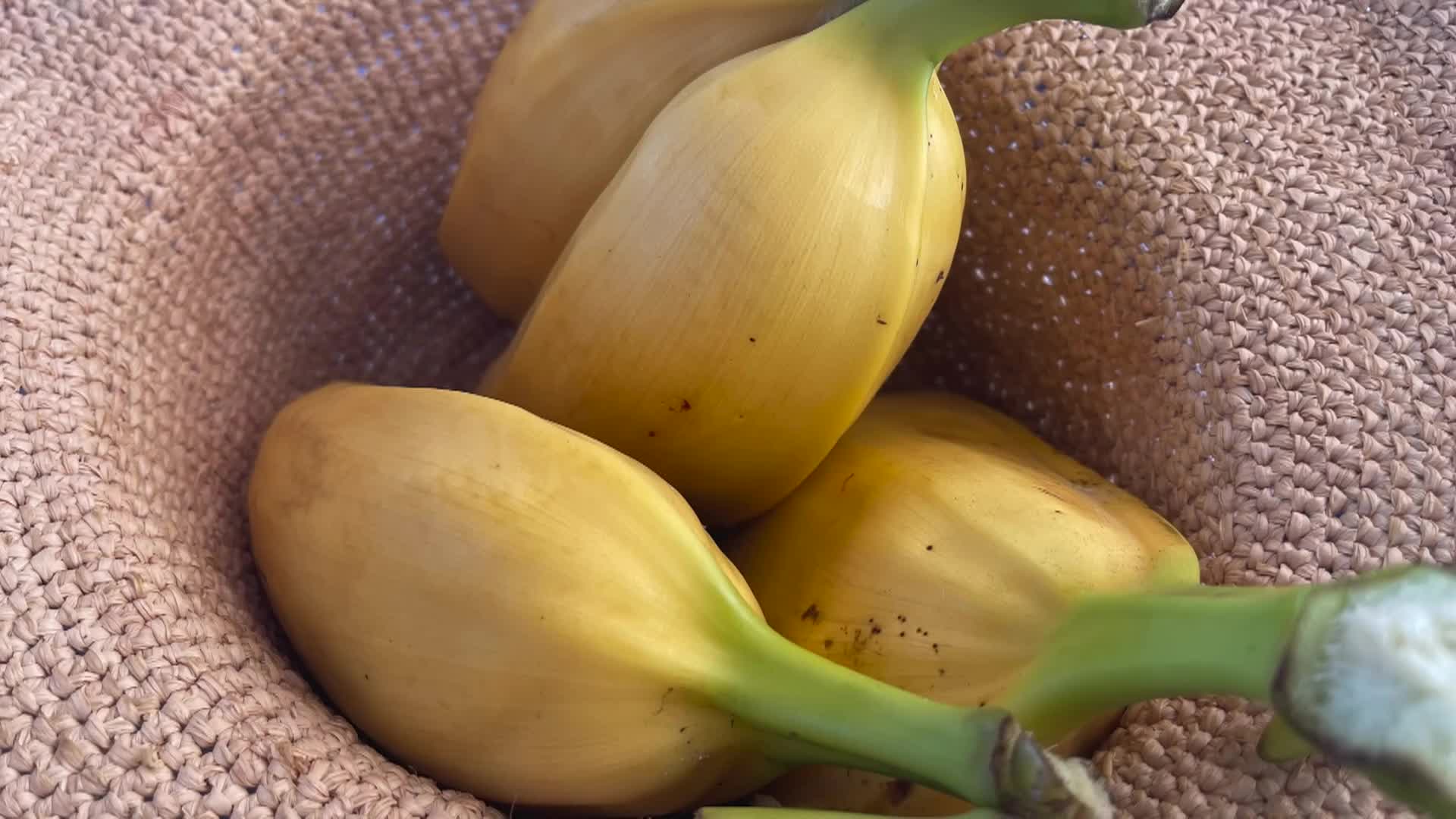 Cooking with Vlada - Coconut Dessert - Fiji - Yasawa Island