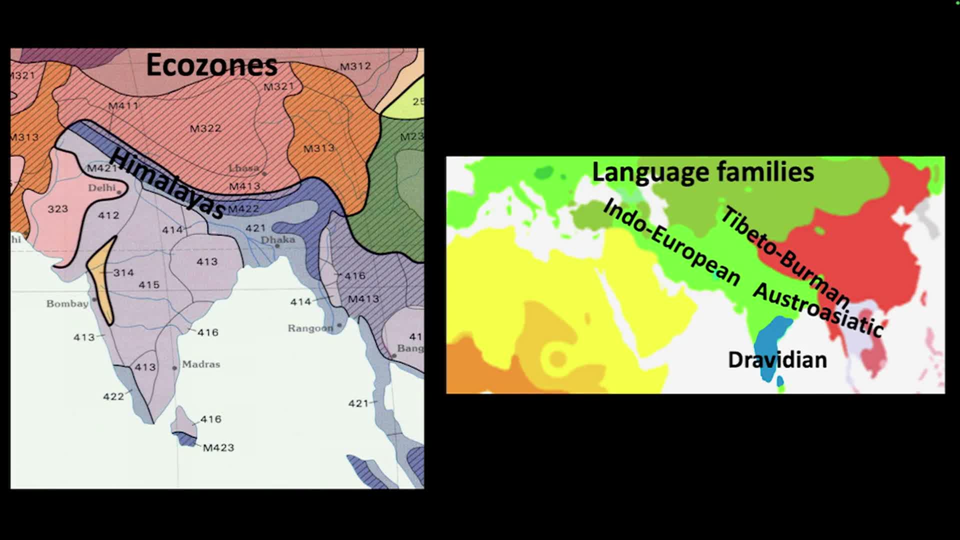 Genetic History of Humans and Animals in South Asia