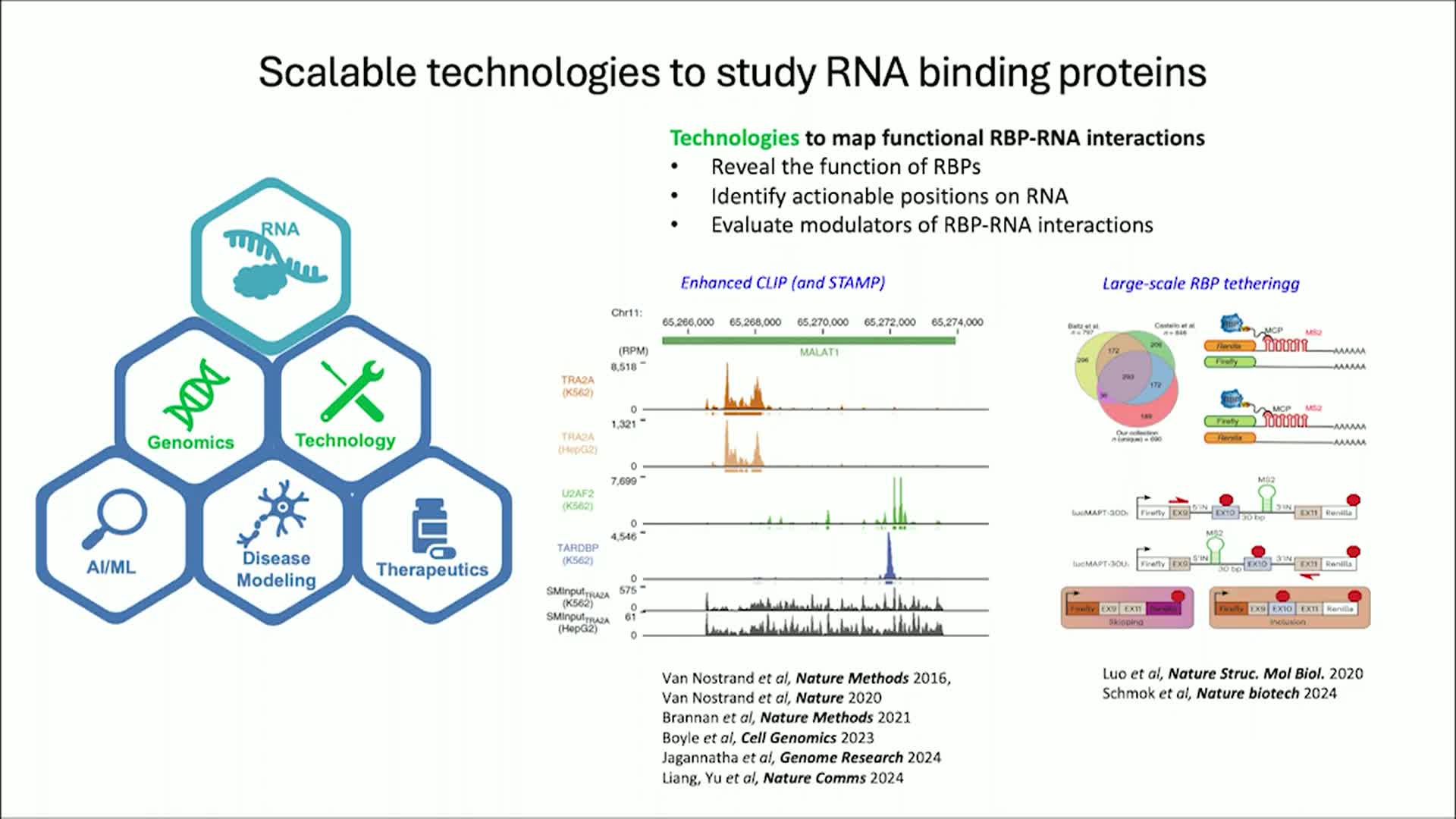Development of a Multivalent Gene Therapy to Correct Cryptic Splicing in ALS