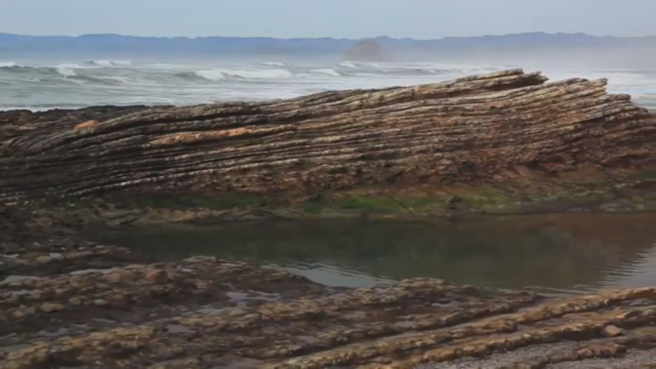 Surf & River Report - Marine Protected Areas with Dr. Andrea Neil