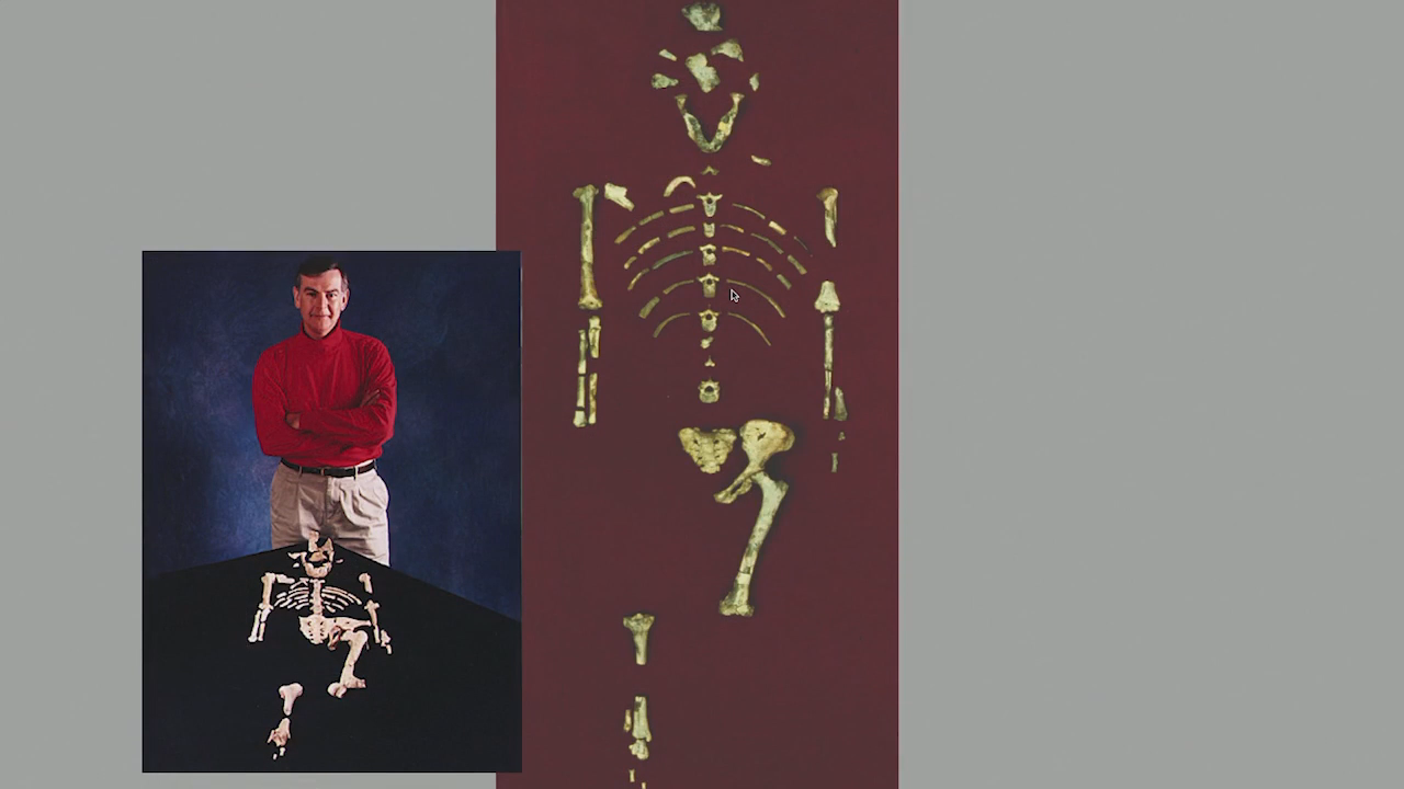 What Was Lucy's Impact on Our Understanding of Other Australopith Relatives