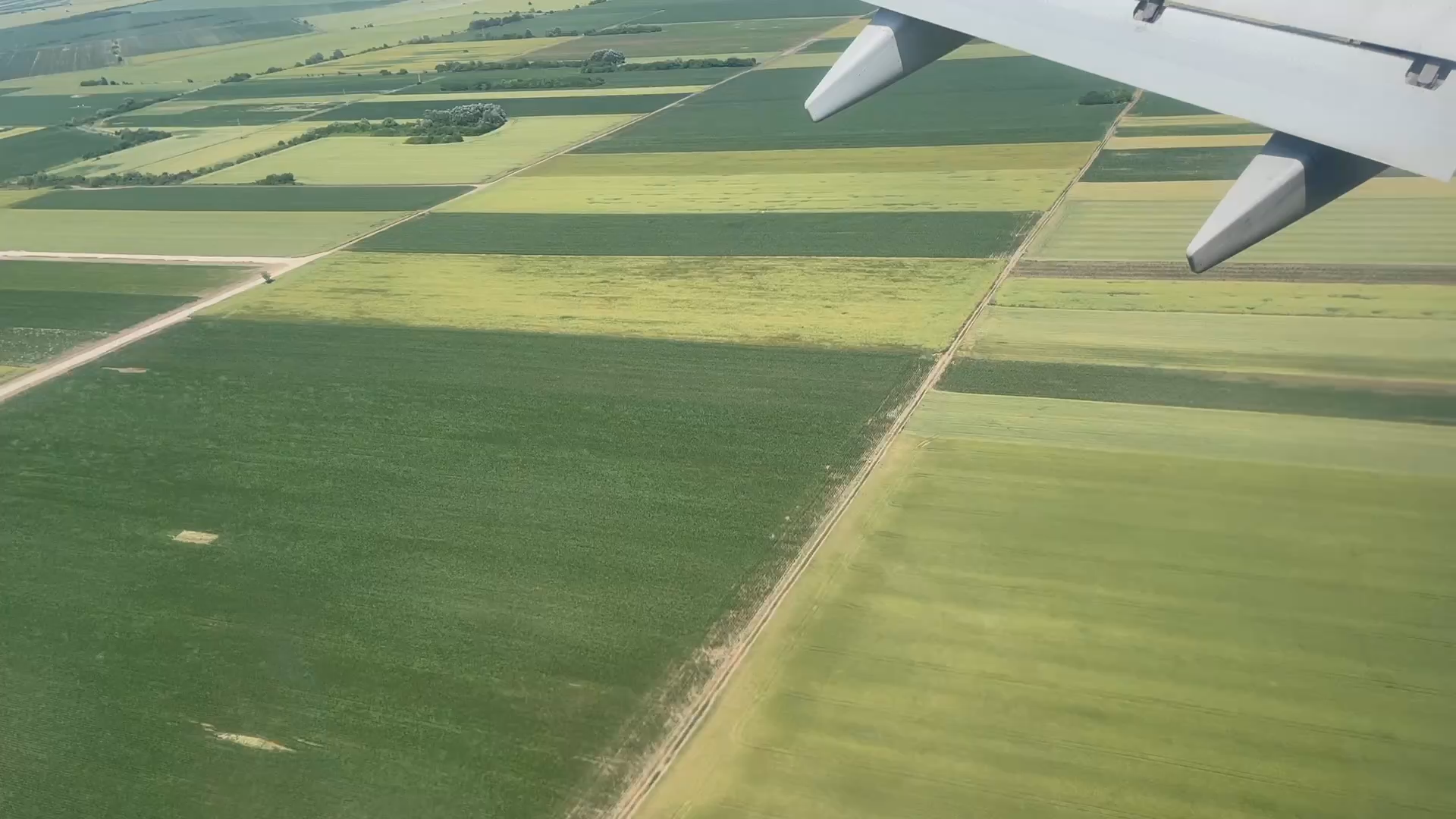 Cooking with Vlada - Vlada's Family Farm - Serbian Traditional Paprikash